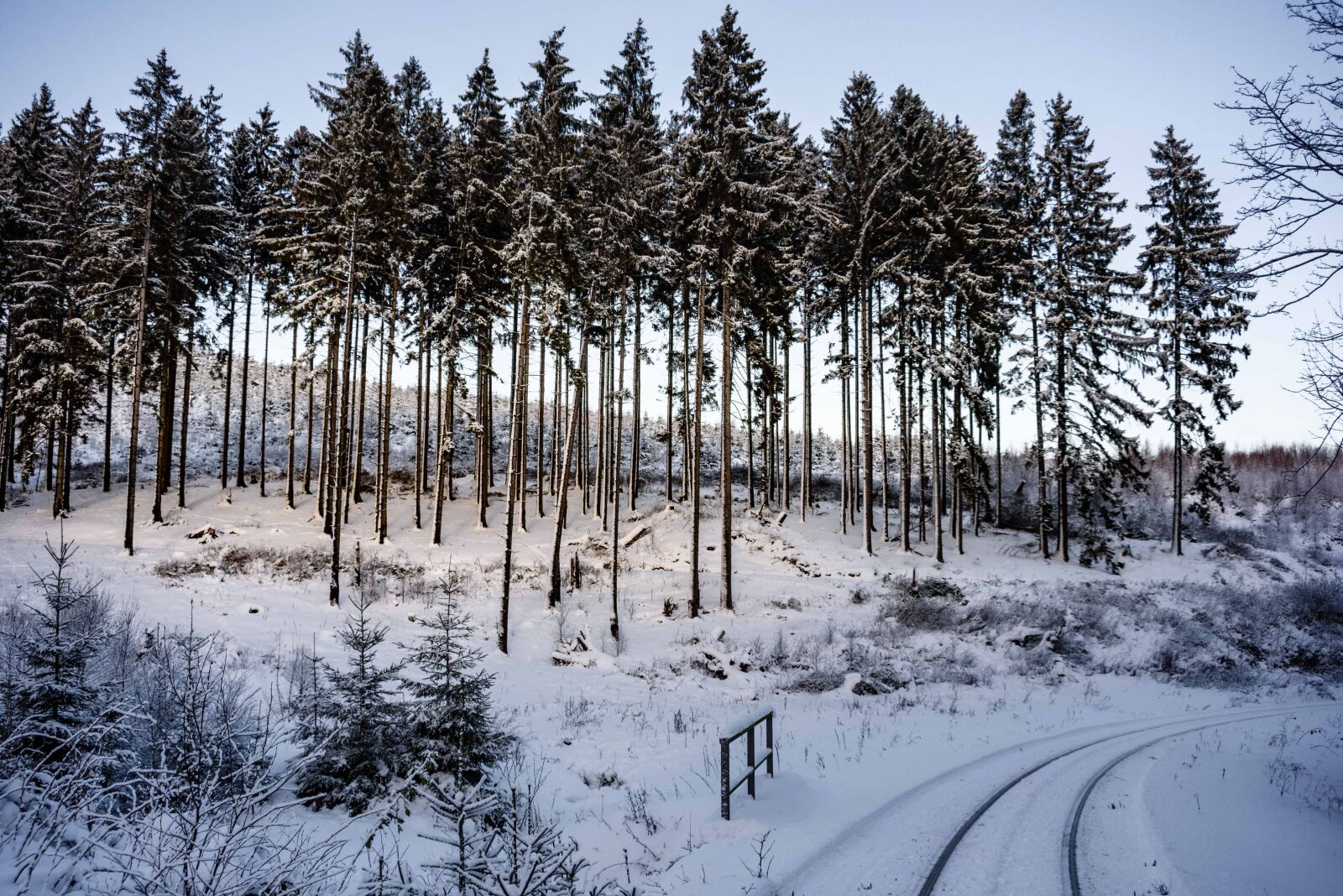 Nikon D750 sample photo. Wintry, resin, snow photography