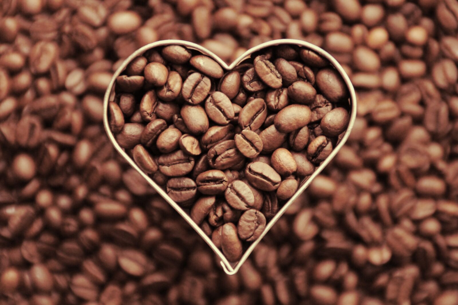 Canon EOS 2000D (EOS Rebel T7 / EOS Kiss X90 / EOS 1500D) sample photo. Coffee, coffee beans, heart photography