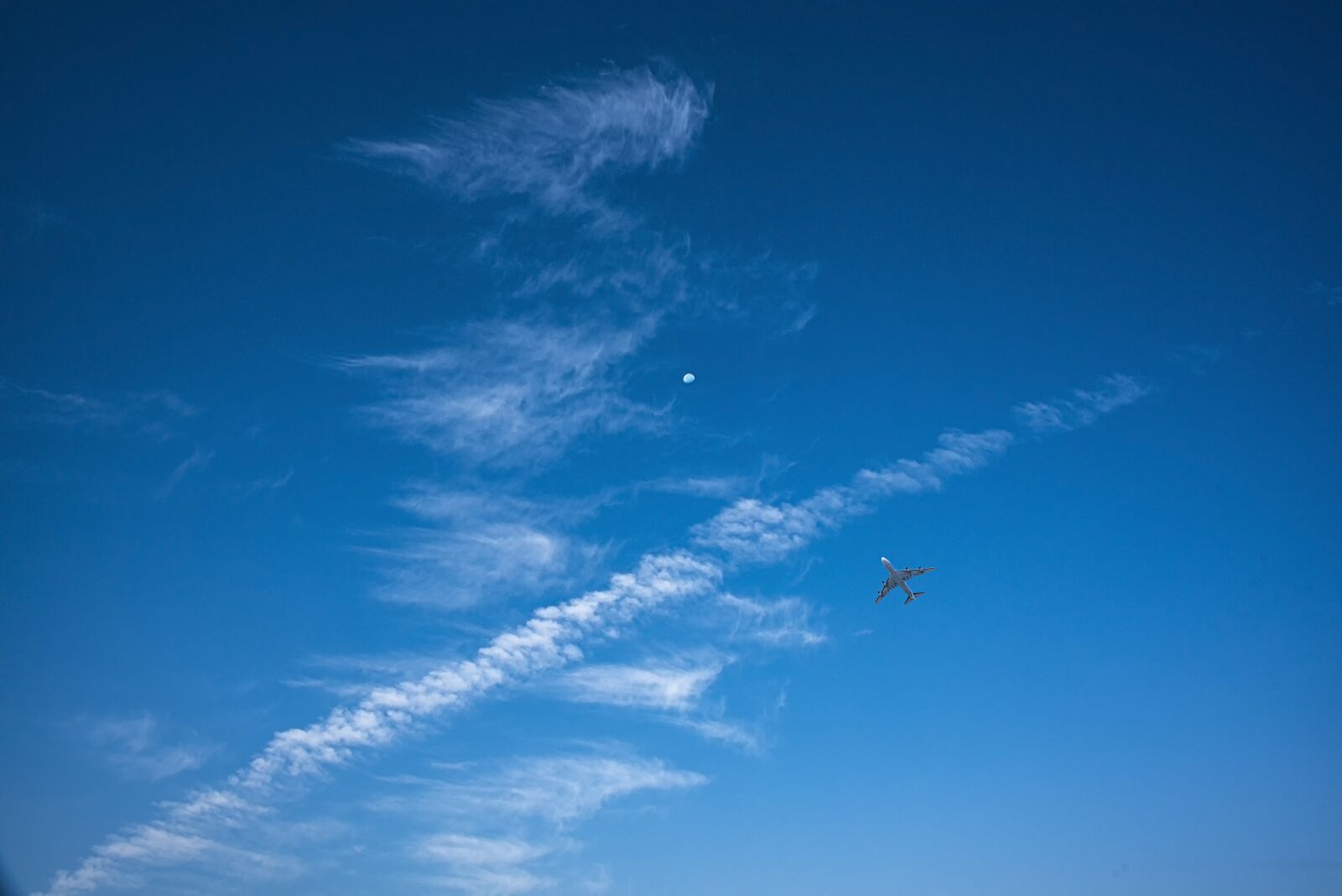 Nikon D750 sample photo. Jiangnan, autumn, rube photography
