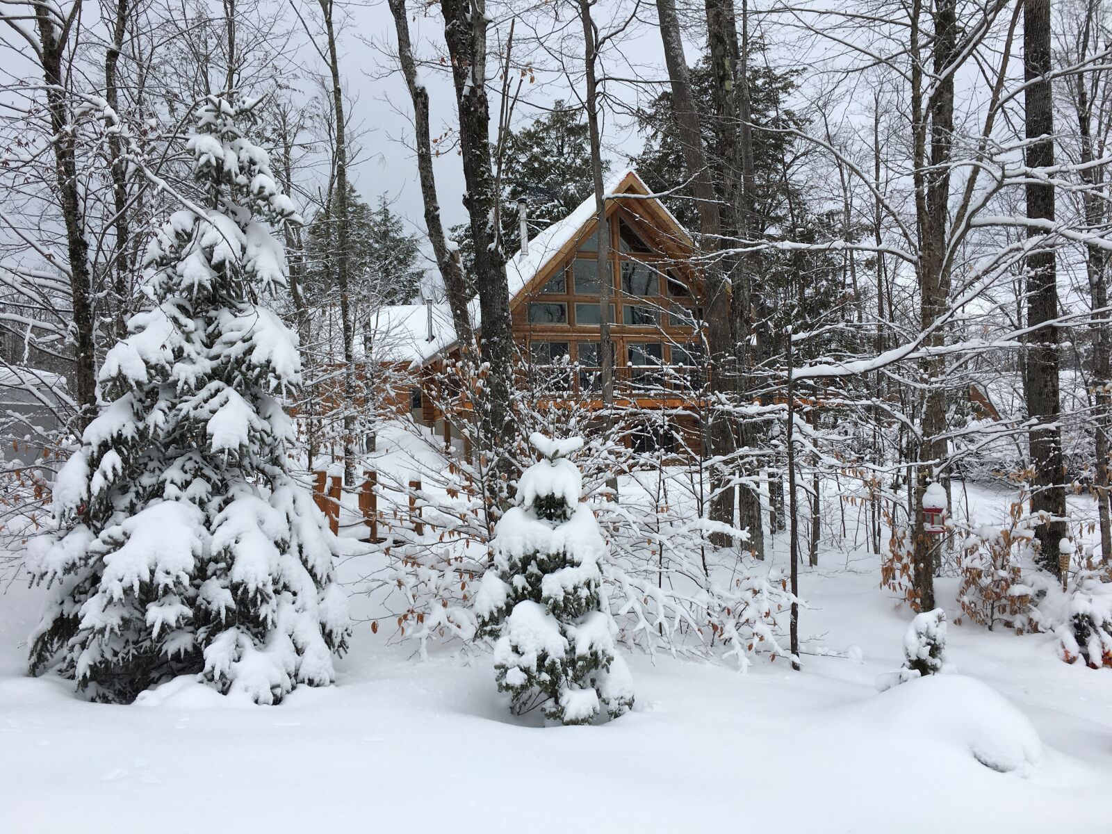 Apple iPhone 6s sample photo. Winter forest, snow, chalet photography