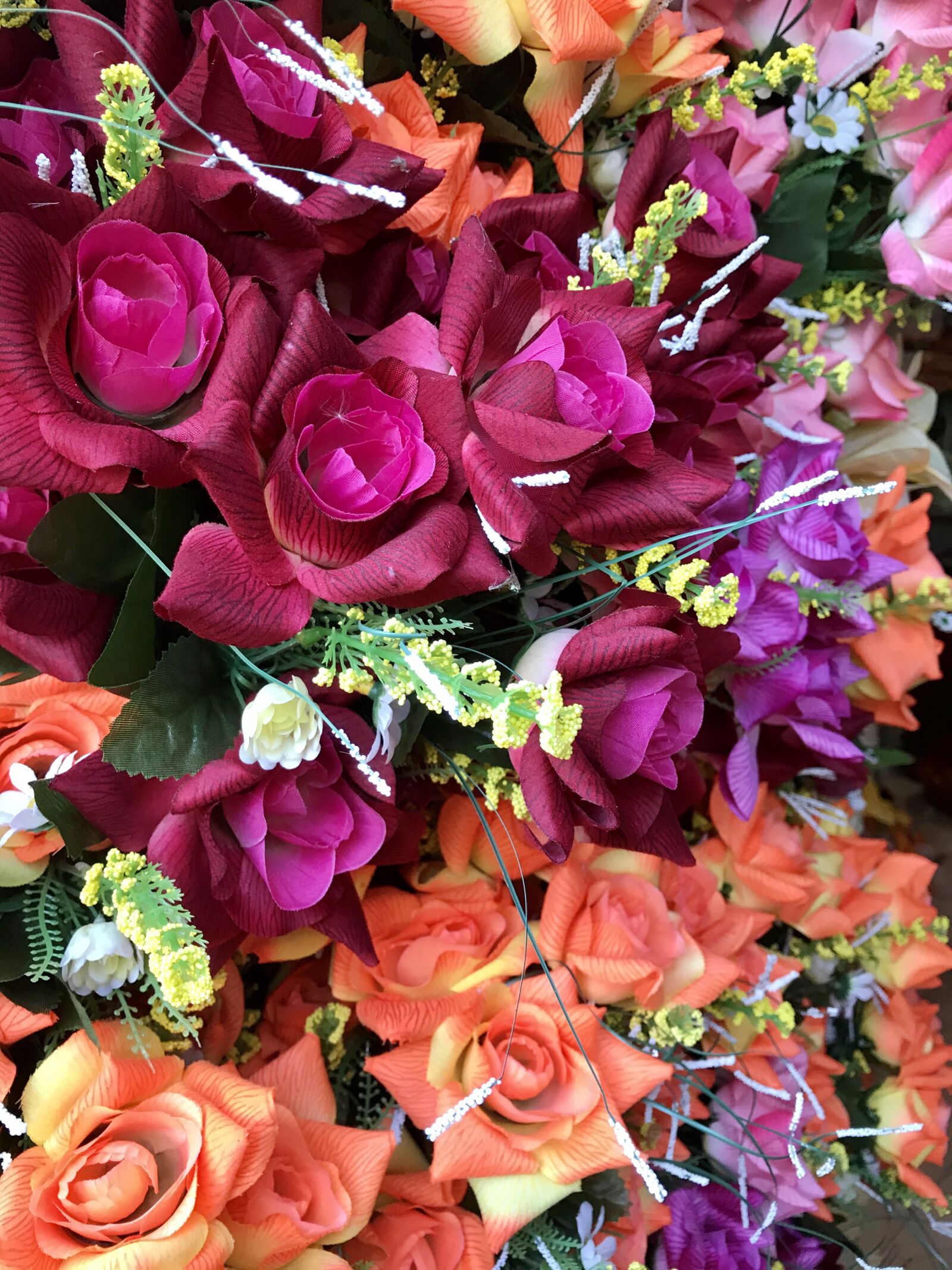 iPhone 7 back camera 3.99mm f/1.8 sample photo. Rose, flowers, decoration photography