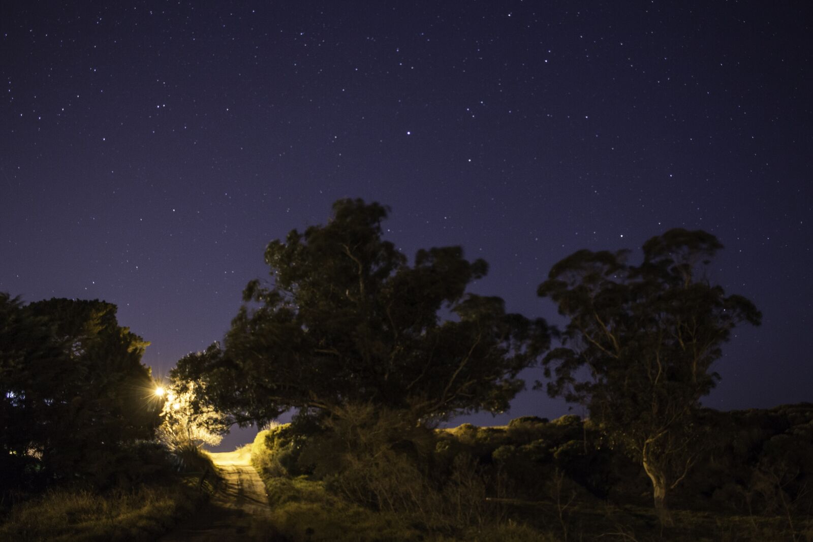Canon EF-S 24mm F2.8 STM sample photo. Photography night, parents saw photography