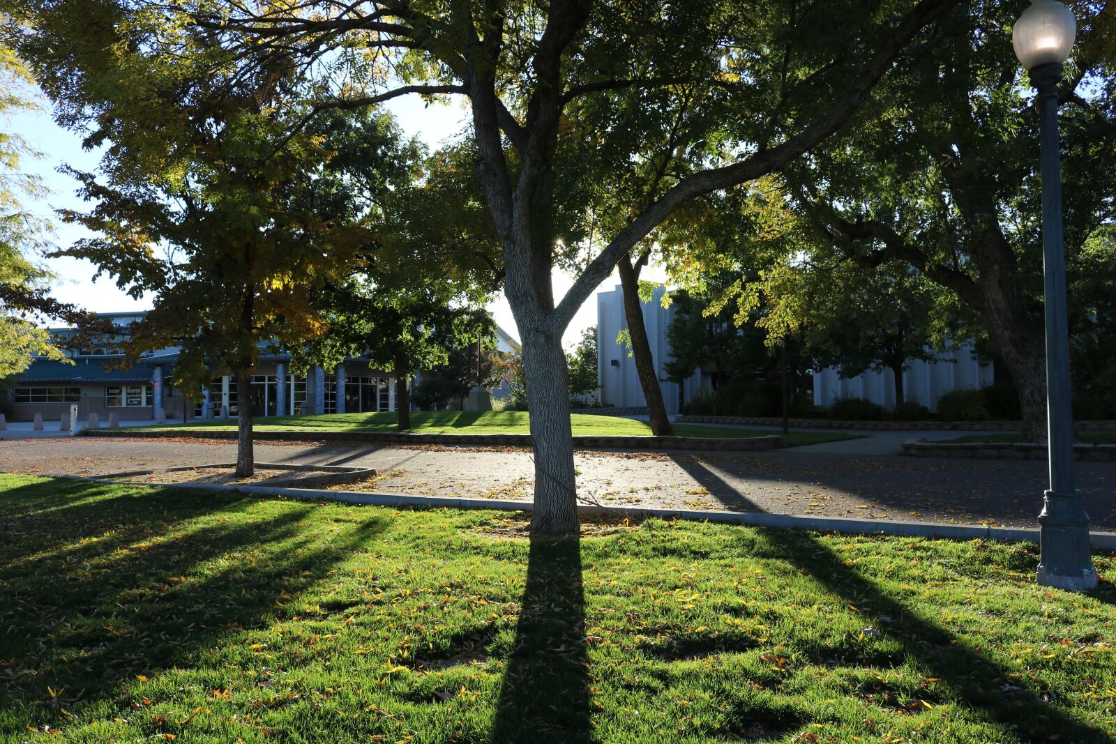 Canon EOS 750D (EOS Rebel T6i / EOS Kiss X8i) sample photo. Trees, shadows, nature photography