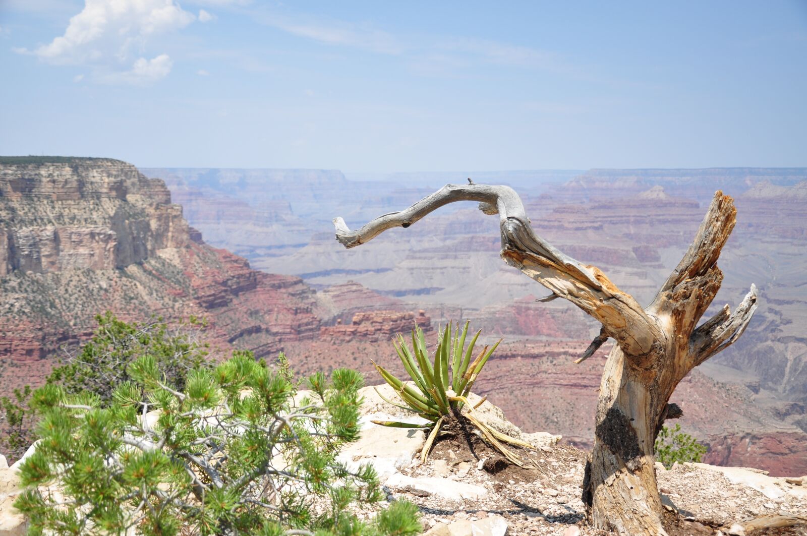 Nikon D90 sample photo. Grand canyon, gorges, national photography