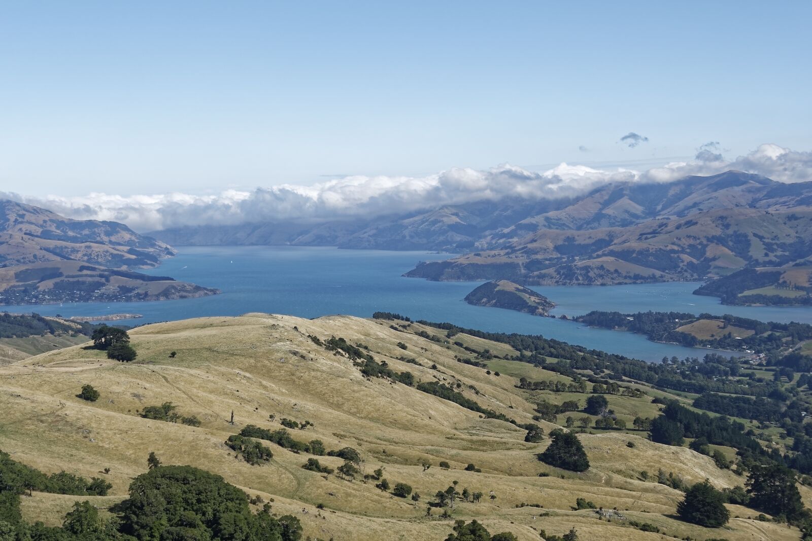 Nikon D500 sample photo. New zealand, banks peninsula photography