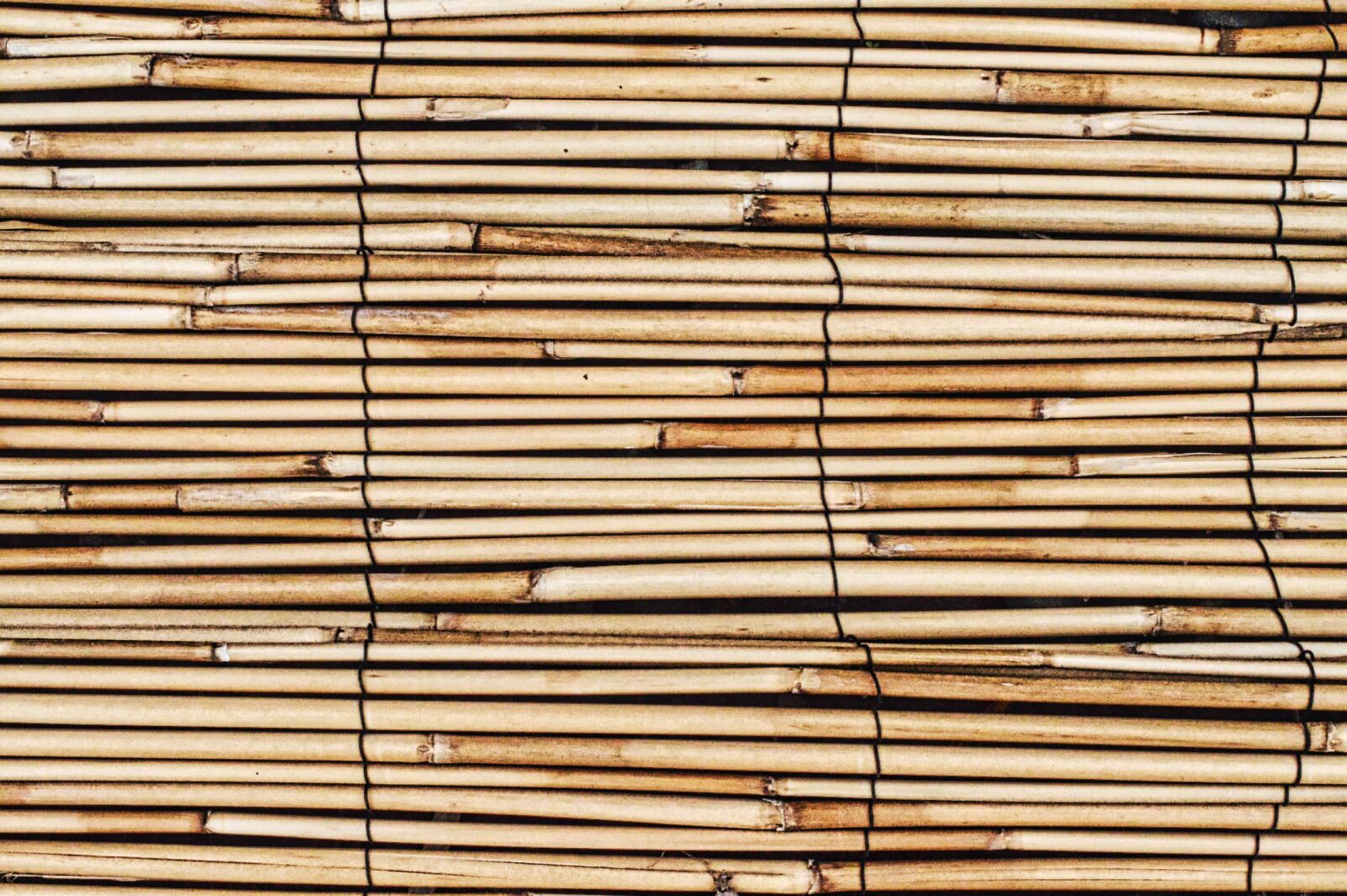 Nikon D3200 sample photo. Texture, braiding, bamboo photography