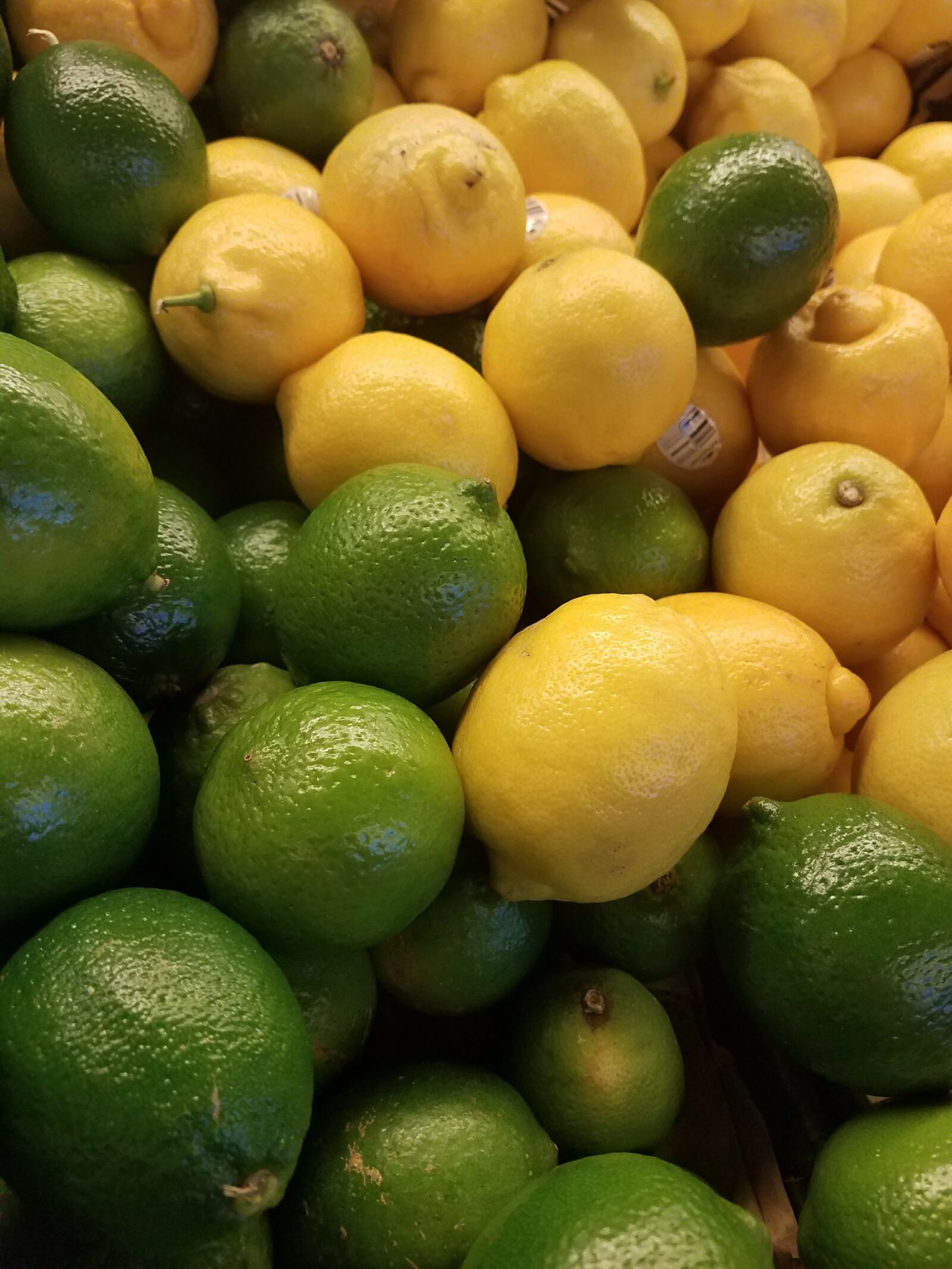 Samsung Galaxy S7 Edge sample photo. Fruit, green, lemon, lime photography