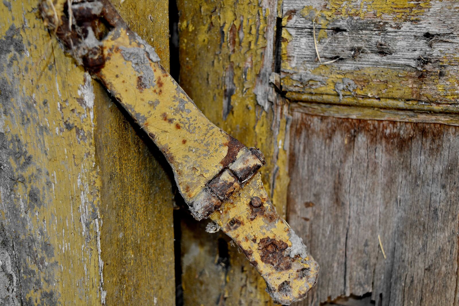 Nikon D5500 sample photo. Carpentry, front door, latch photography