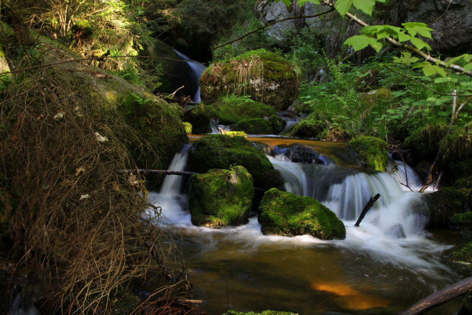 Canon EOS 100D (EOS Rebel SL1 / EOS Kiss X7) sample photo. Rock, moss, bach photography
