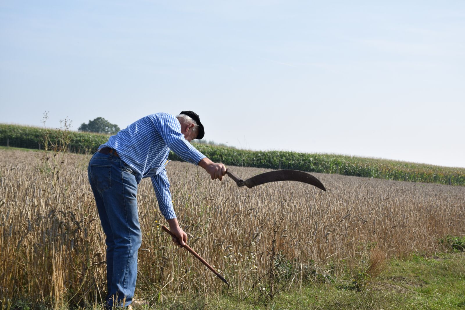 Nikon D5300 sample photo. Agriculture, harvest, farmer photography