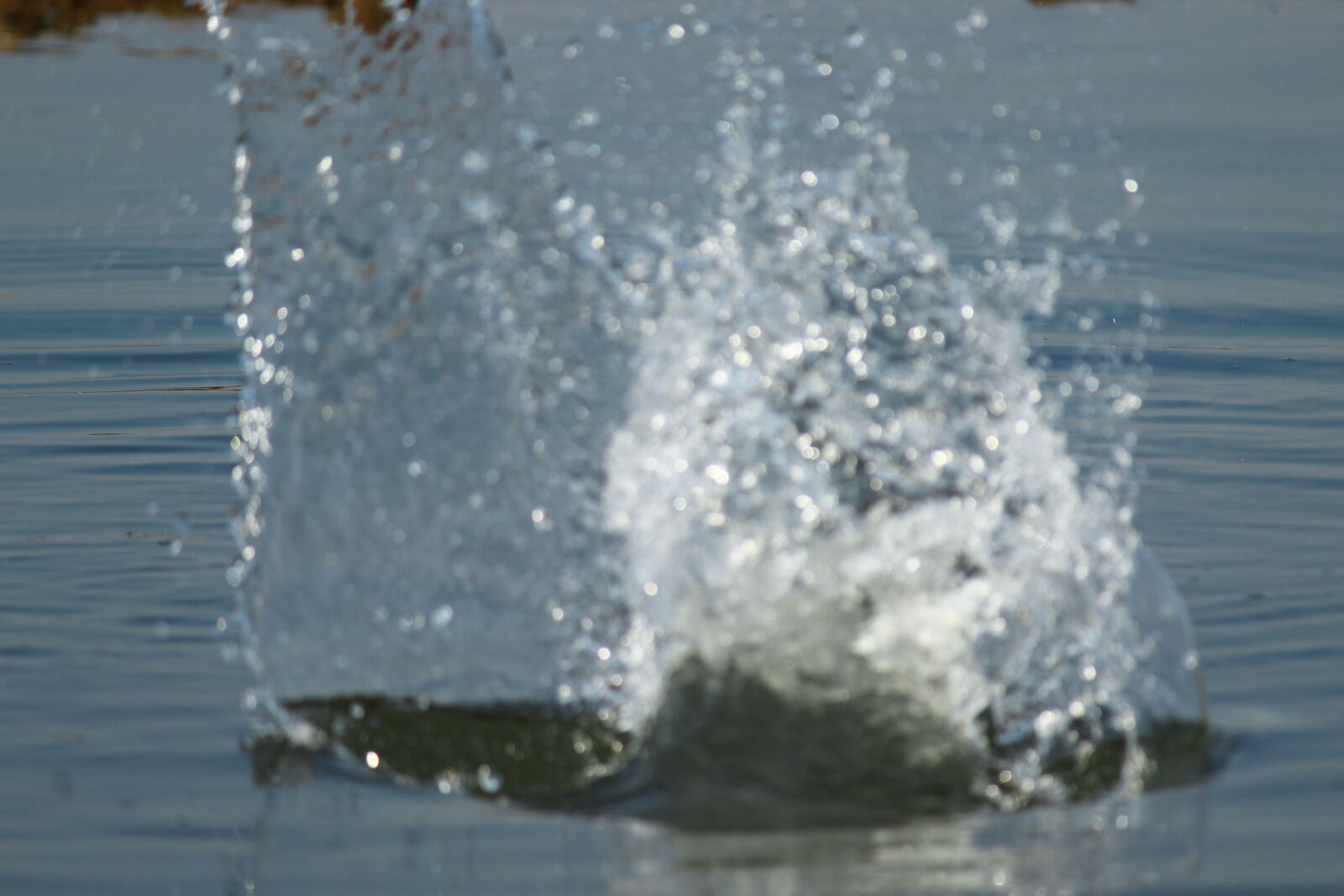 Canon EOS 1300D (EOS Rebel T6 / EOS Kiss X80) sample photo. Blue, water, water, splash photography