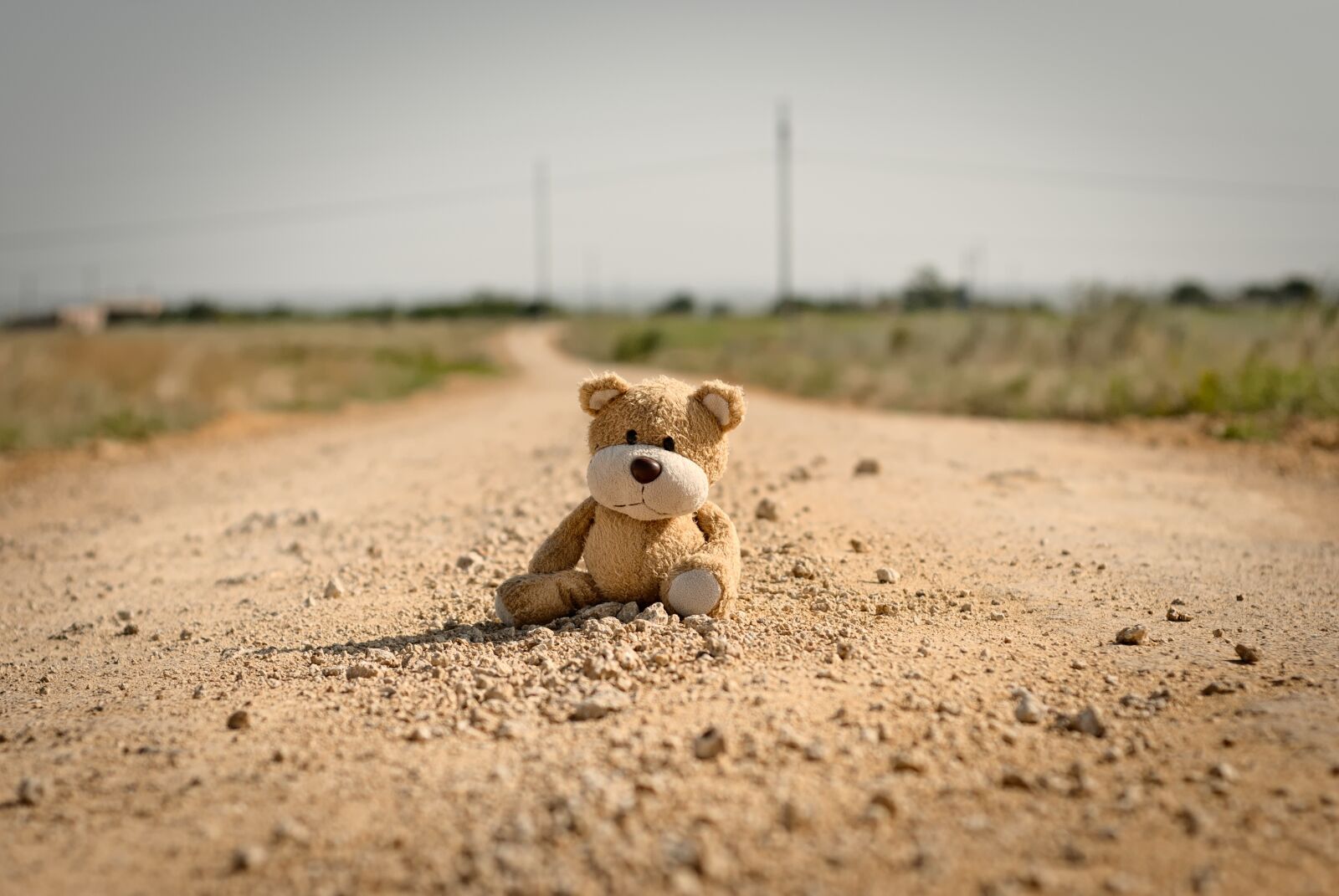 Nikon D80 sample photo. Toy, teddy bear, road photography