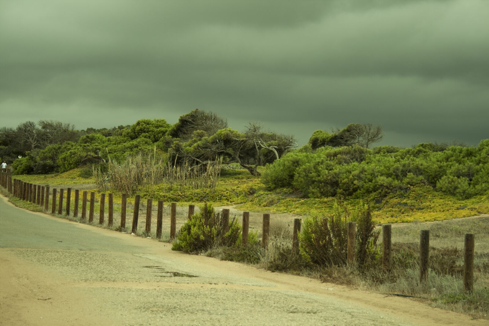 Canon EF-S 18-55mm F3.5-5.6 II sample photo. Storm, in the, dunes photography