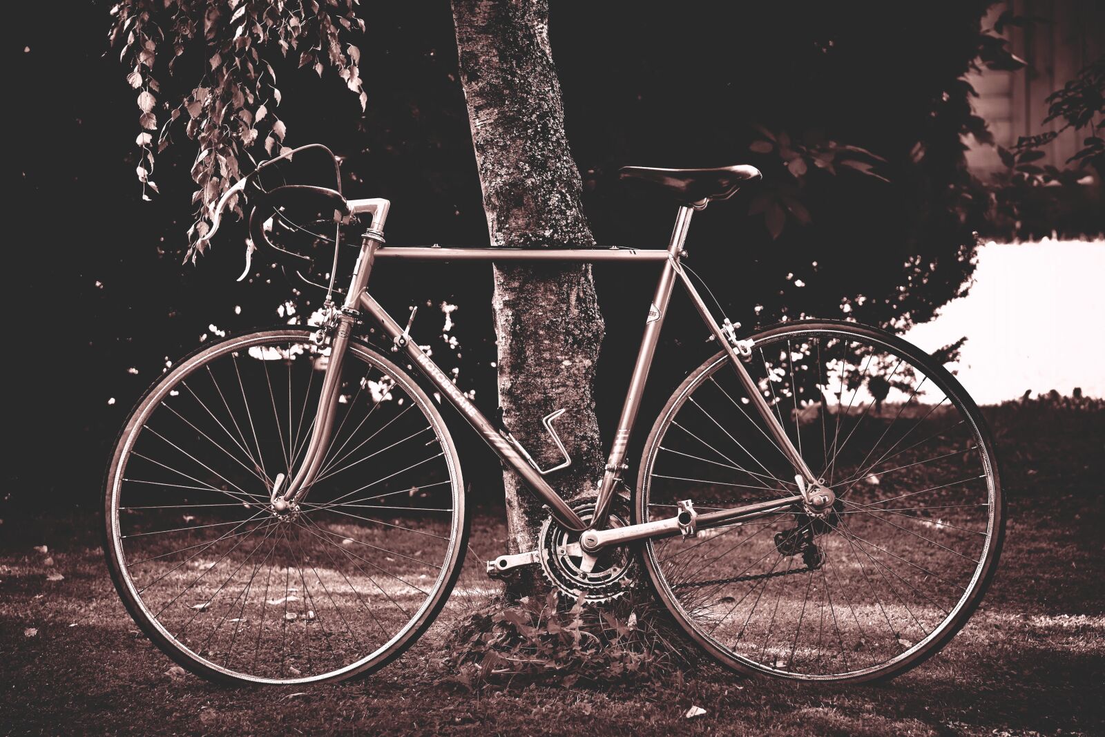 Nikon D7200 sample photo. Bicycles, cycle, bike photography
