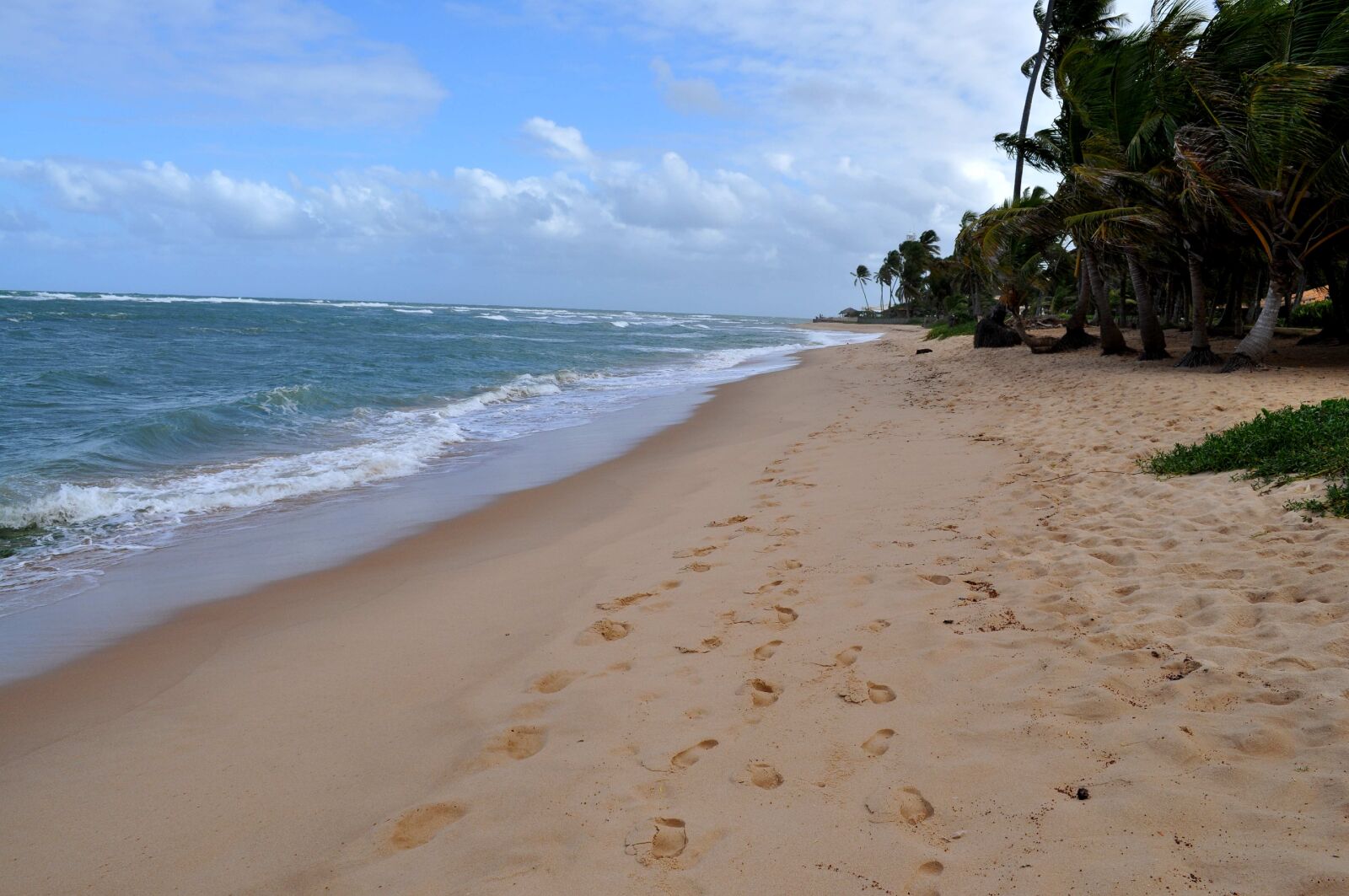 Nikon D5000 sample photo. Beach, yellow, sand, wood photography