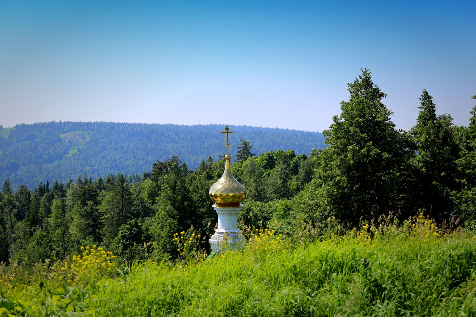 Canon EOS 6D + Canon EF 70-200mm F4L USM sample photo. Ural, russia, trees photography