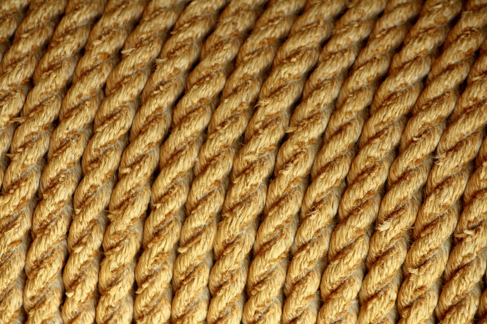 Canon EOS 1200D (EOS Rebel T5 / EOS Kiss X70 / EOS Hi) sample photo. Twine, string, the background photography