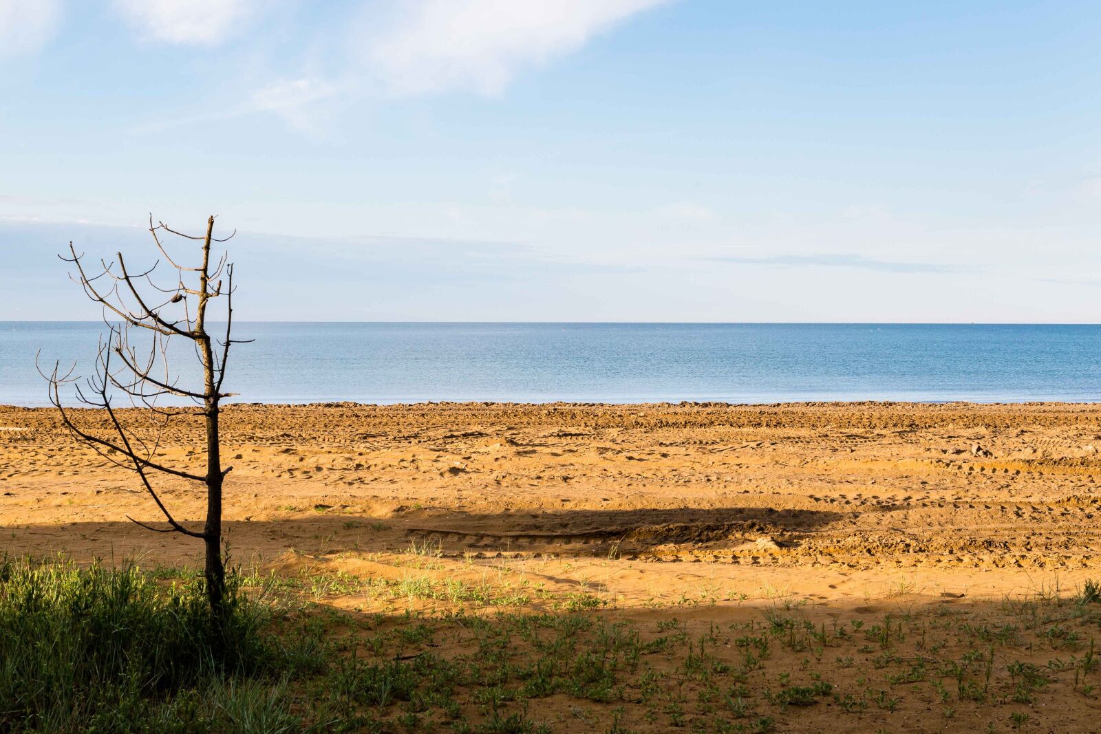Canon EF 24-105mm F4L IS USM sample photo. Sea, tree, beach photography