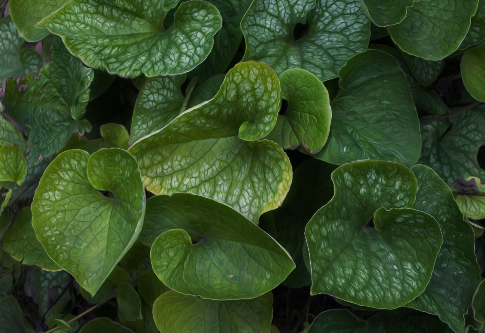 Nikon D60 sample photo. Nature, background, green photography