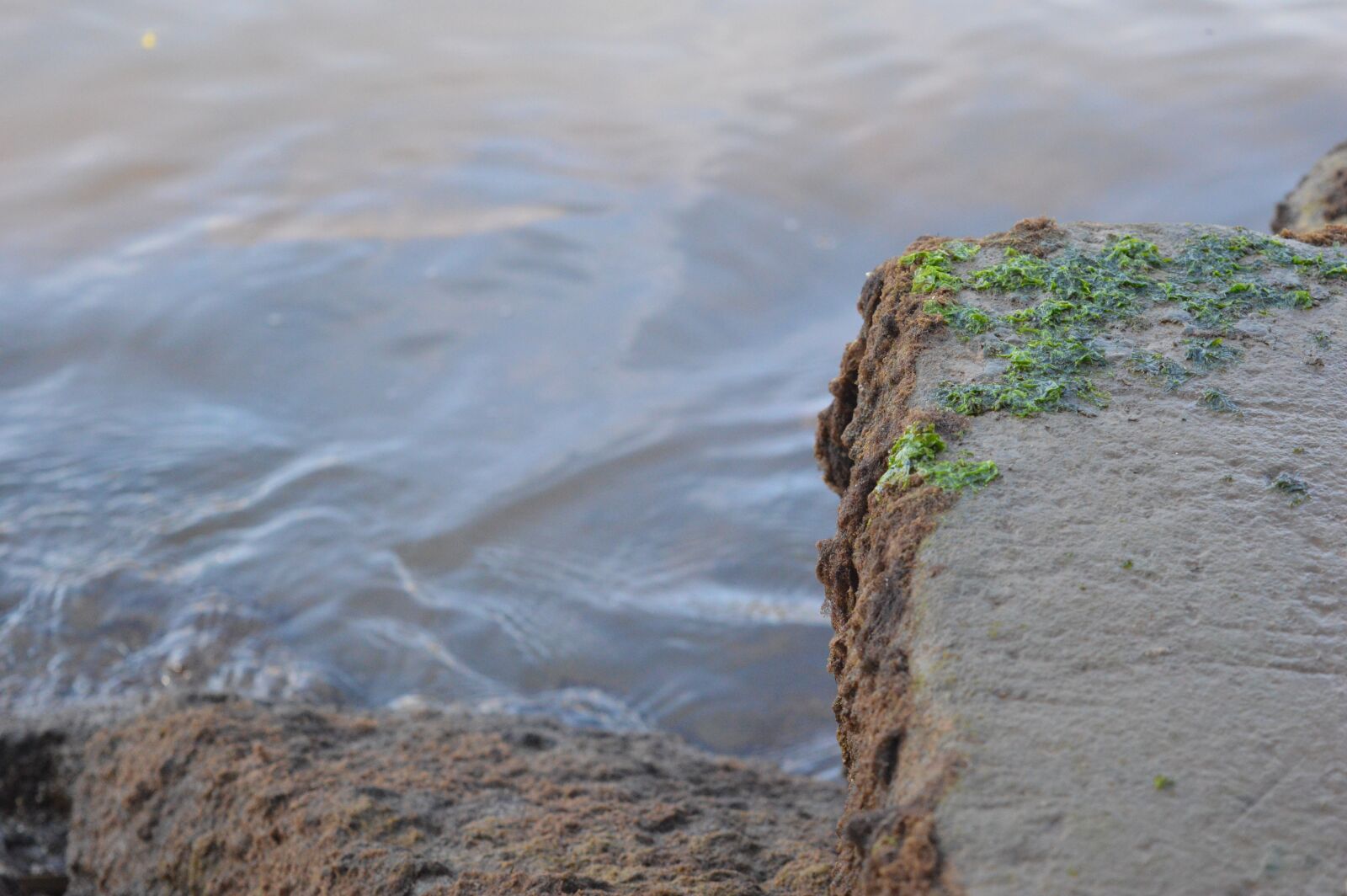 Nikon D3200 sample photo. Nature, stone, water photography