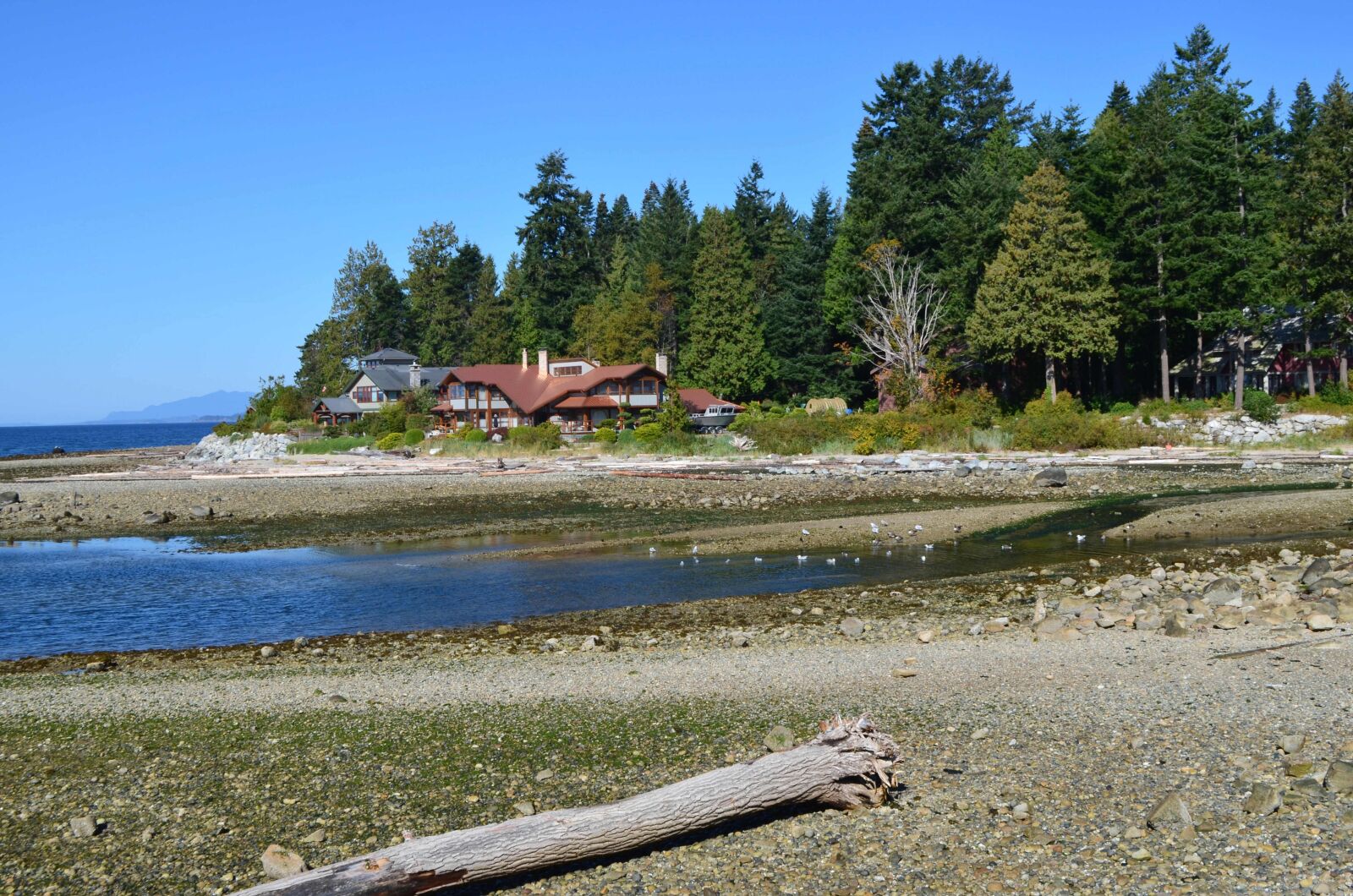 Nikon D5100 sample photo. Lake, beach, landscape photography