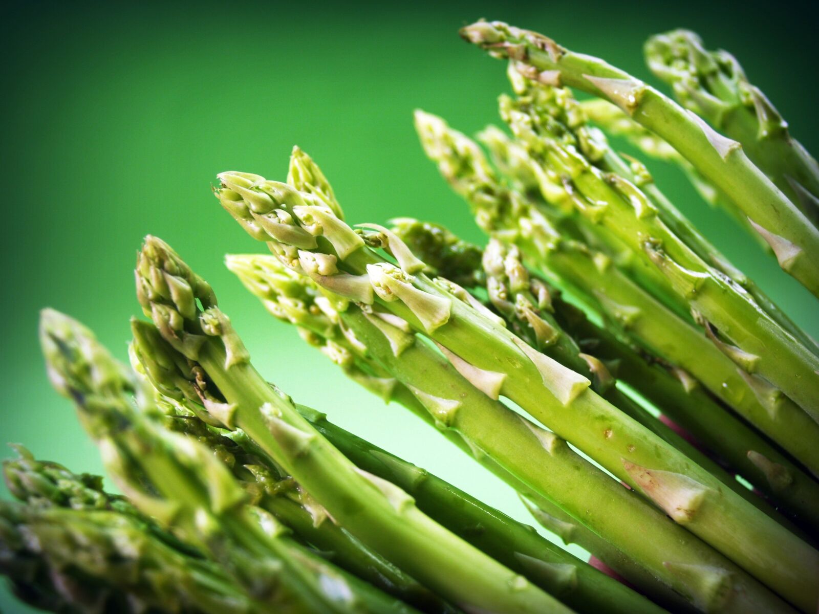 Olympus E-300 (EVOLT E-300) sample photo. Food, asparagus, gourmet photography
