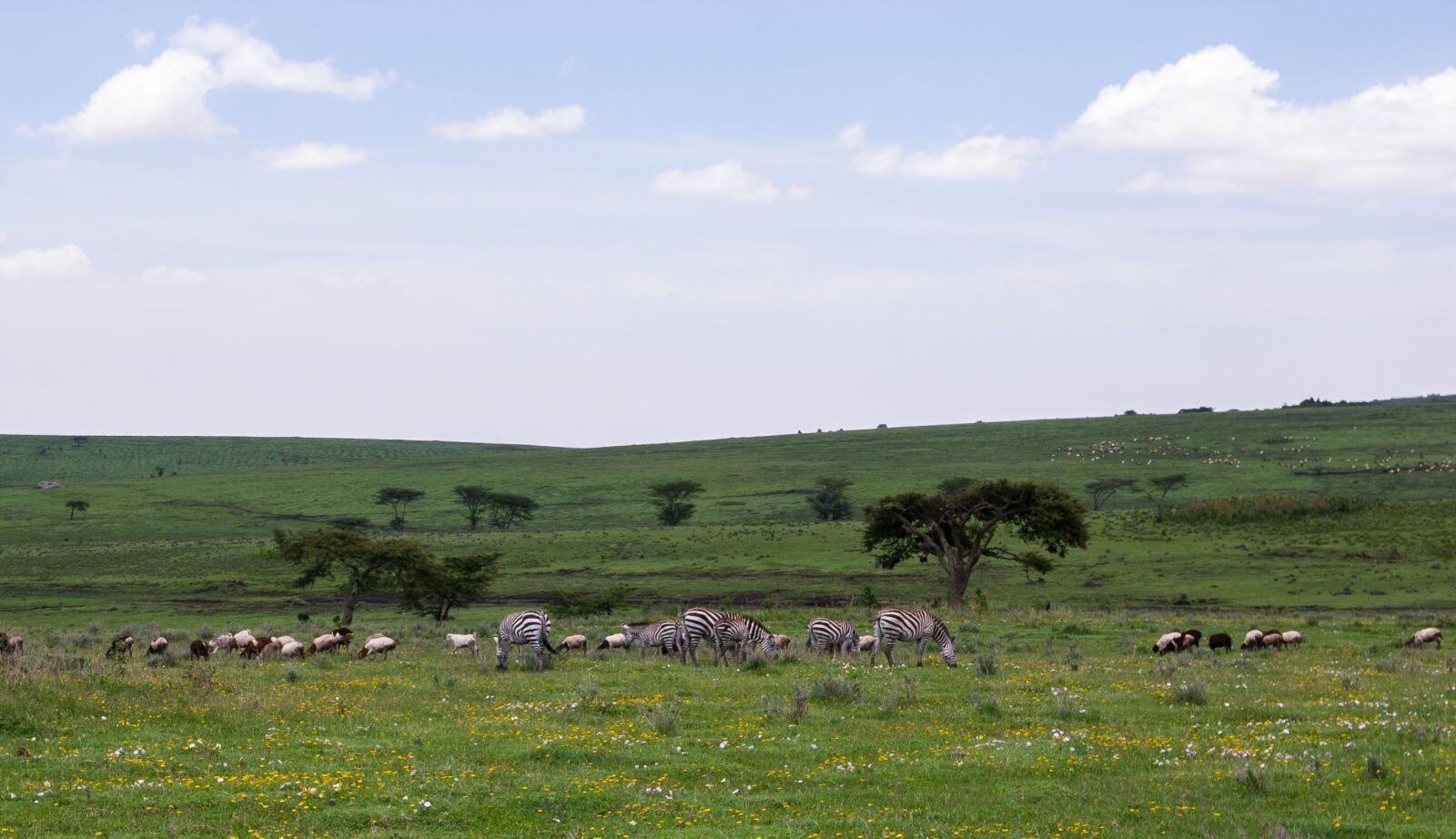 Canon EOS 20D sample photo. Ngorongoro conservation area, tanzania photography