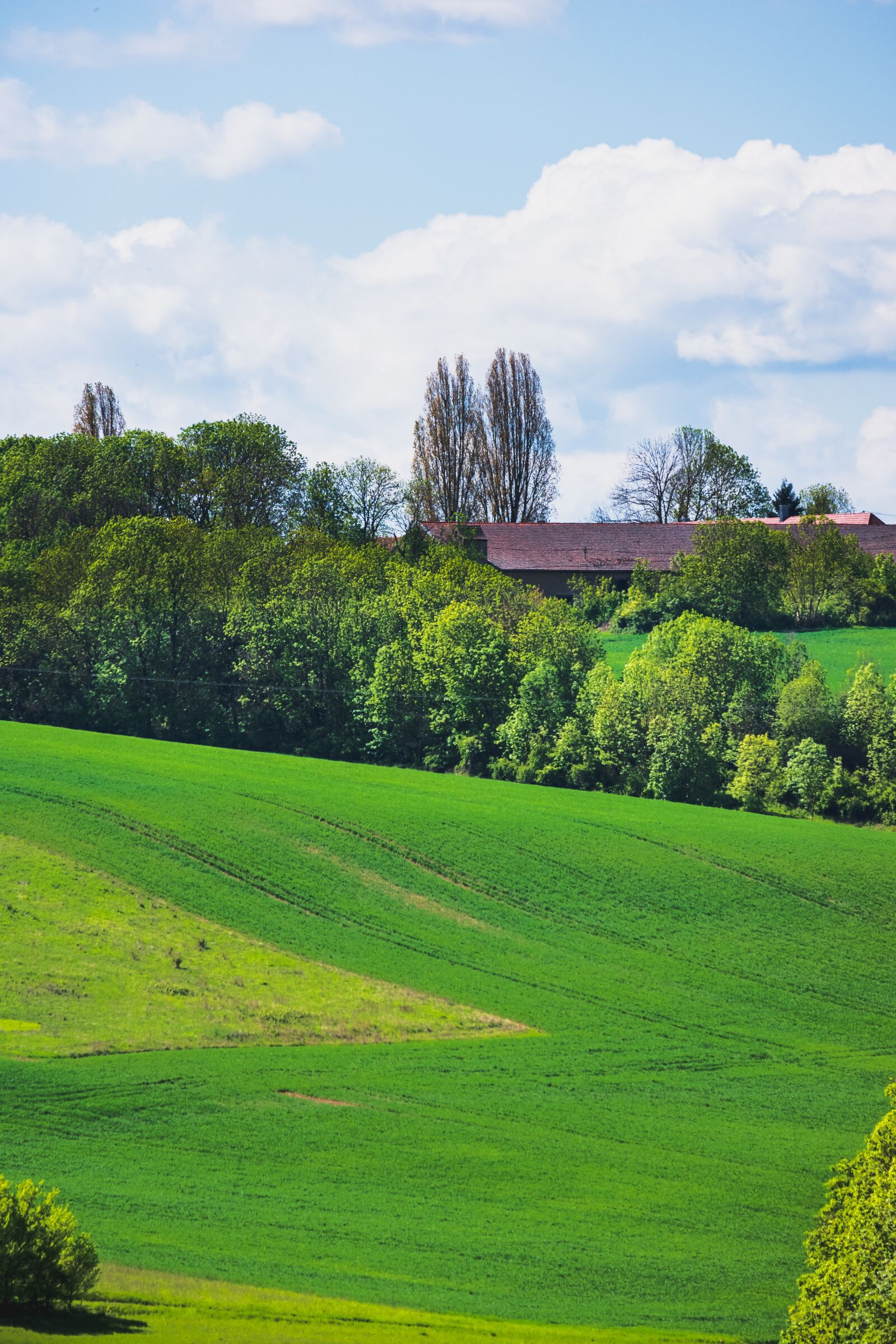 Fujifilm X-T100 + Fujifilm XC 50-230mm F4.5-6.7 OIS II sample photo. Farm, tranquil, landscape photography