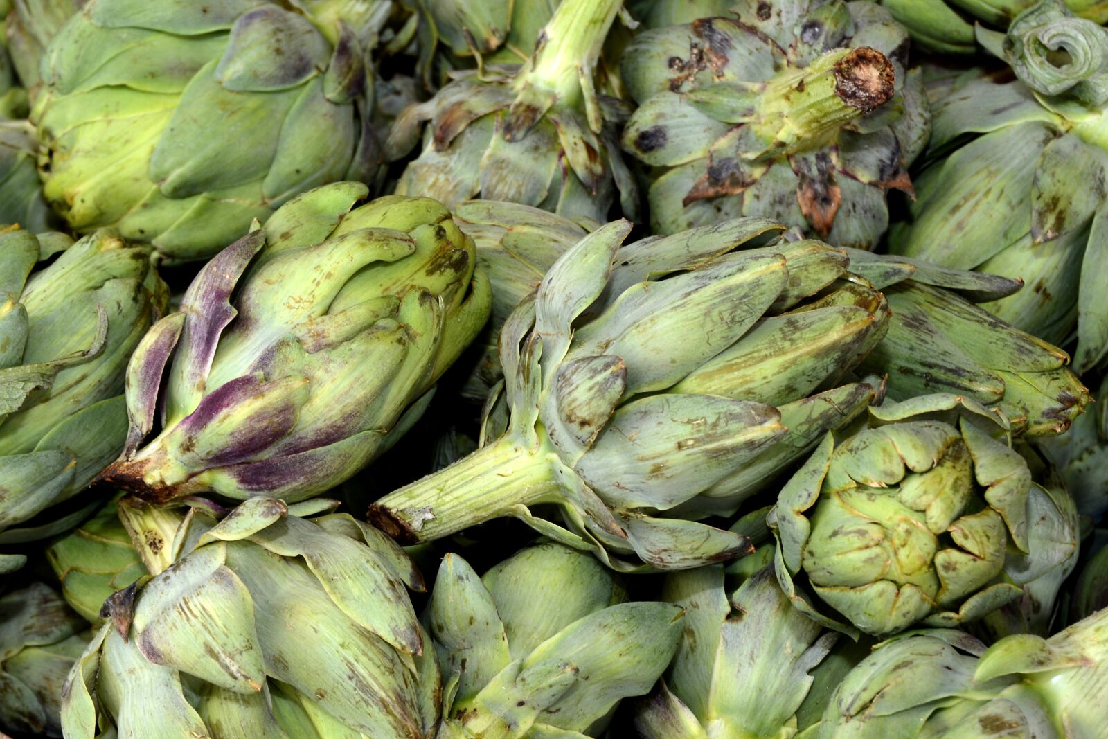 Nikon D7100 sample photo. Artichokes, vegetables, food photography