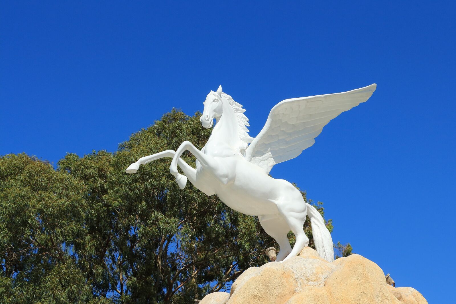 Canon EOS 700D (EOS Rebel T5i / EOS Kiss X7i) sample photo. Pegasus, rodos, horse photography