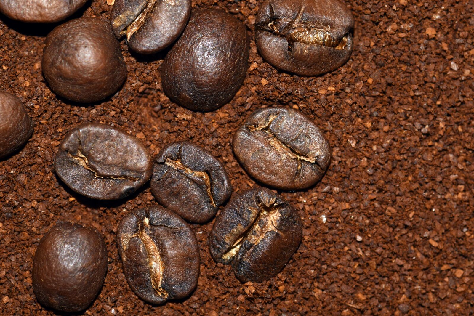 Nikon D3300 sample photo. Caffeine, drink, seed, dark photography