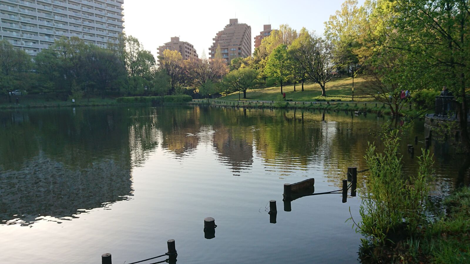 Sony Xperia XZ Premium sample photo. Tokuo park, pond, early photography