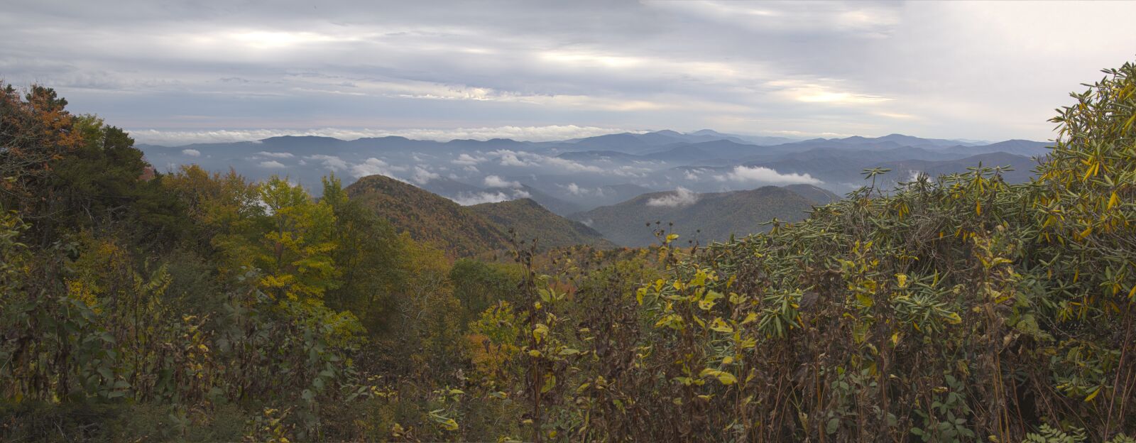 Canon EOS 60D sample photo. Landscape, blue ridge parkway photography