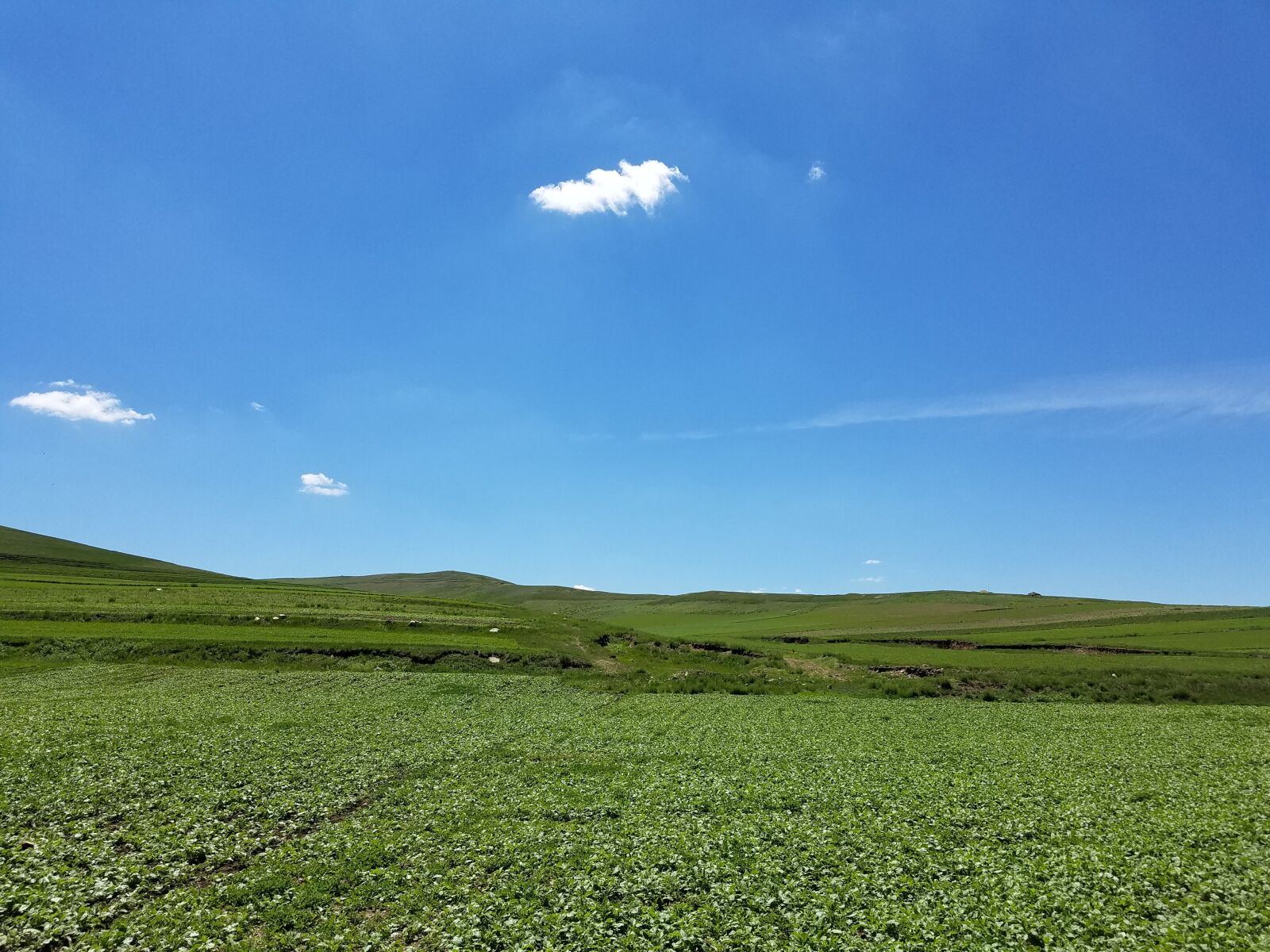 Samsung Galaxy S7 Edge sample photo. Blue sky, fresh air photography