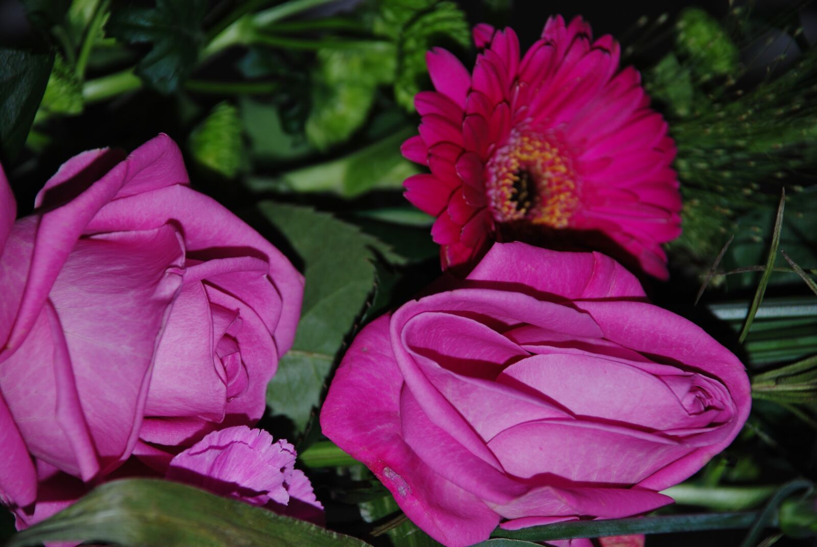 Nikon D80 sample photo. Nature, flower, sky photography