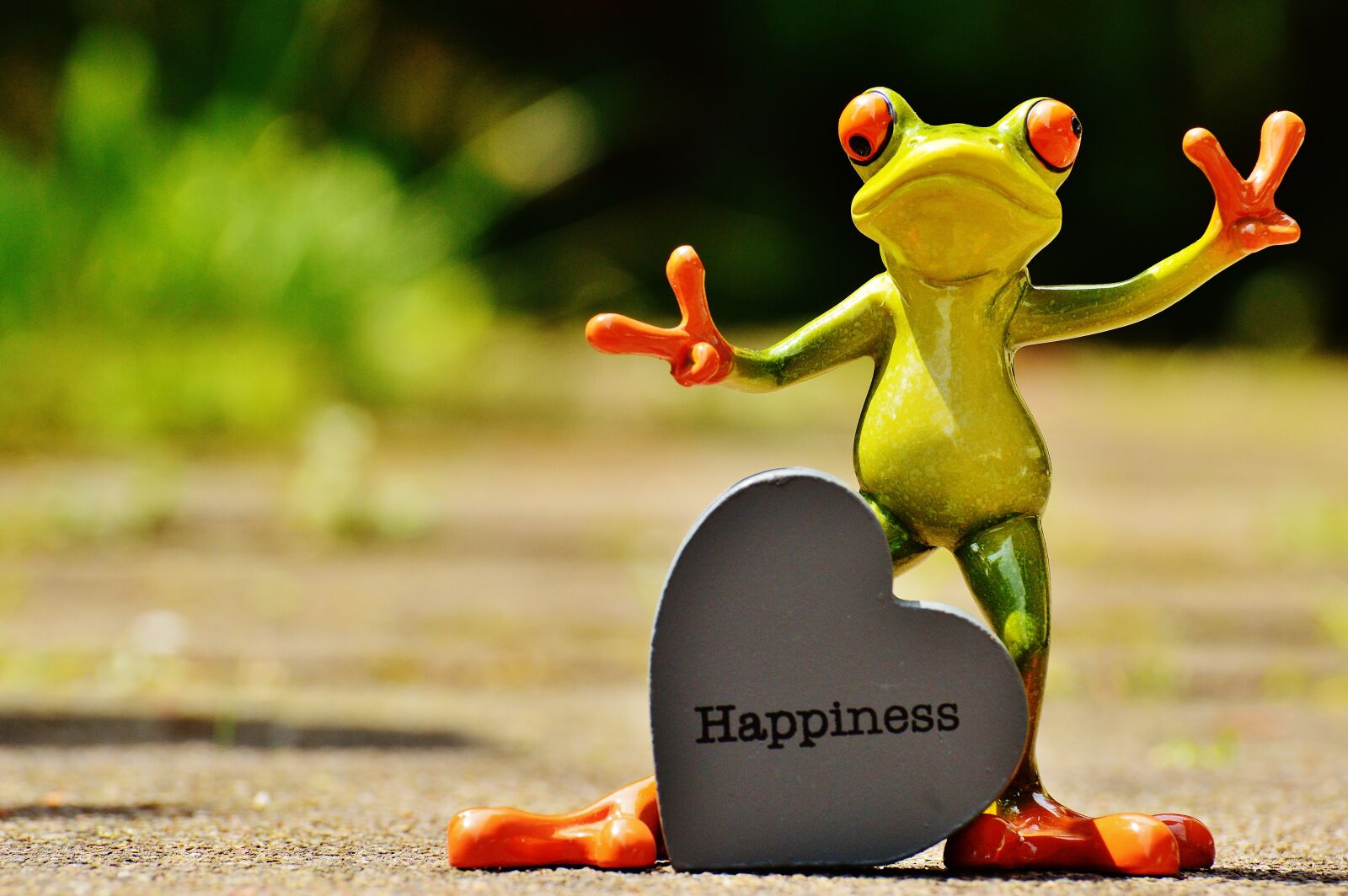 Nikon D3200 sample photo. Frog, funny, laugh photography
