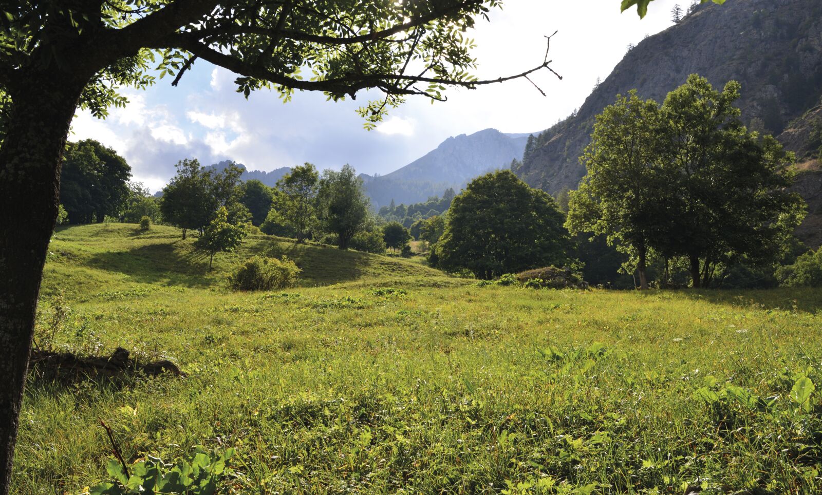 Nikon D5200 sample photo. Landscape, rest, of course photography