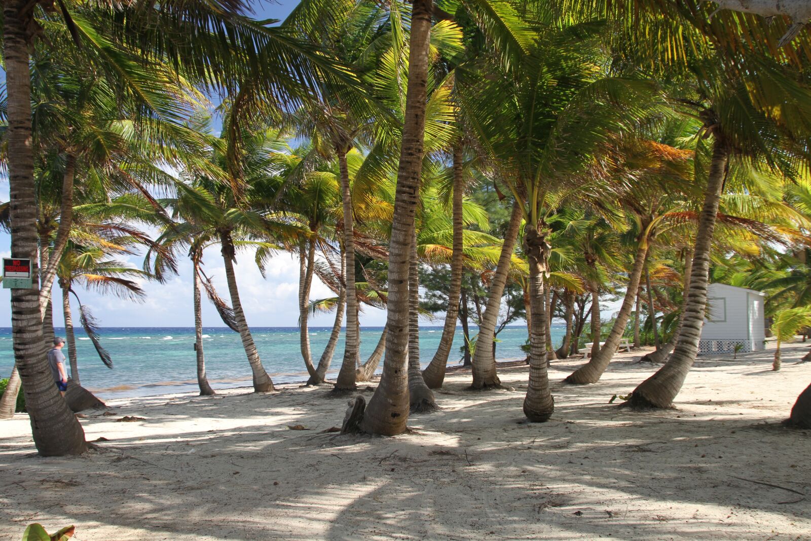 Canon EOS 7D sample photo. Beach, tropical, caribbean photography