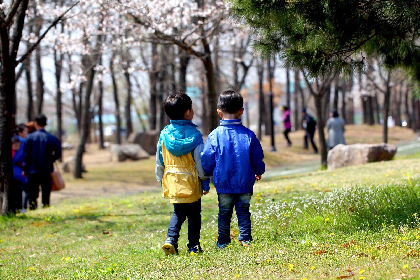 Canon EOS 5D Mark II sample photo. Friends, both, children photography