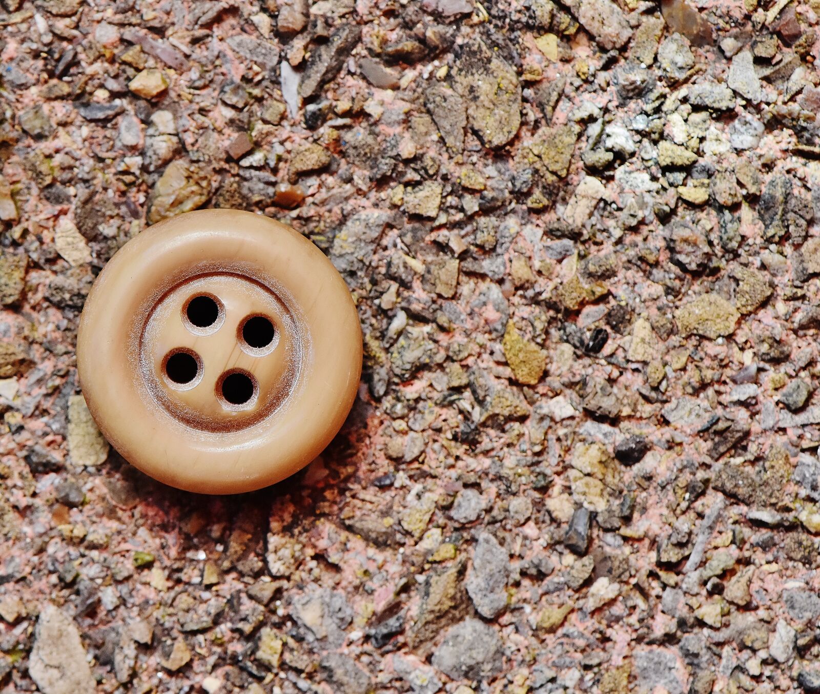 Nikon D7200 sample photo. Button, 4 holes, beige photography
