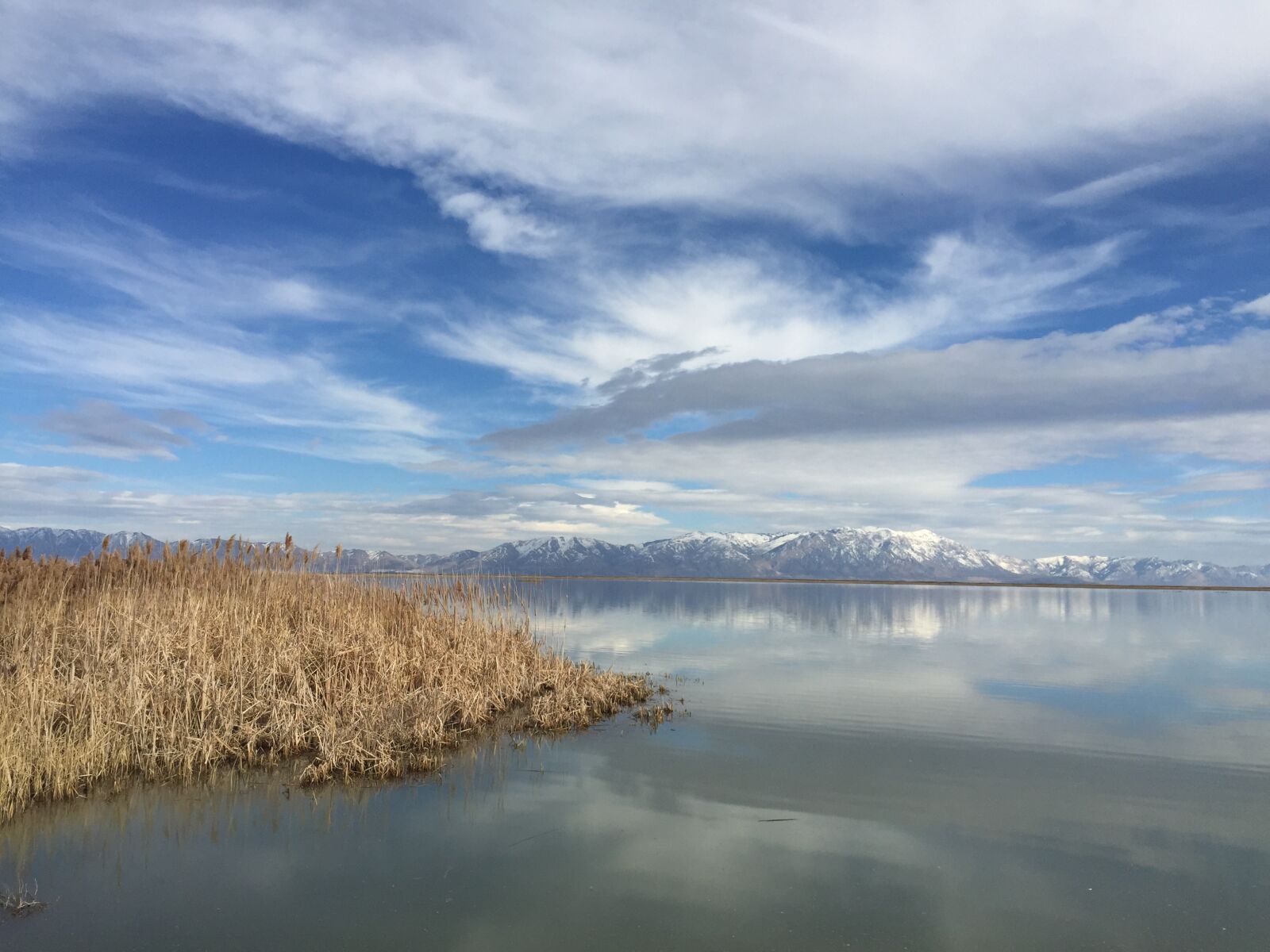 iPhone 6 back camera 4.15mm f/2.2 sample photo. Bird refuge, water, clouds photography