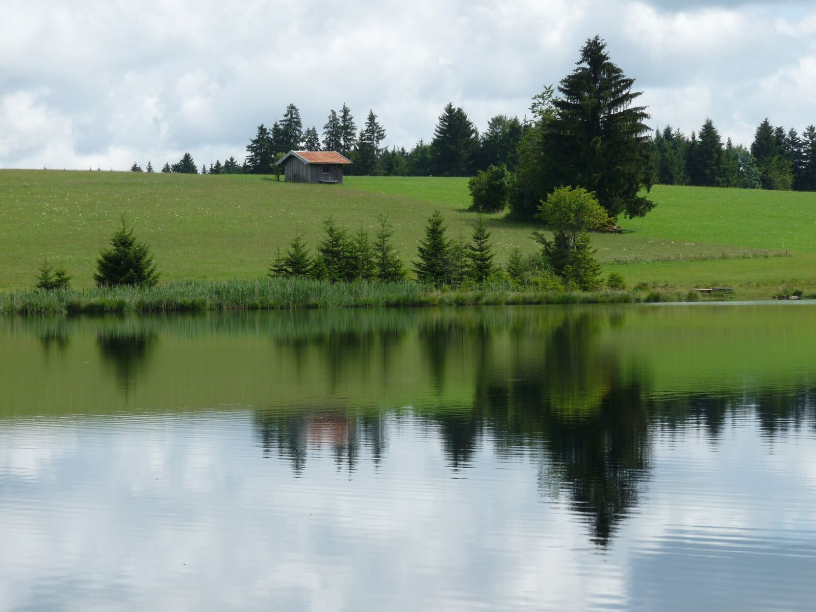 Panasonic Lumix DMC-FZ28 sample photo. Pond, mirroring, nature photography