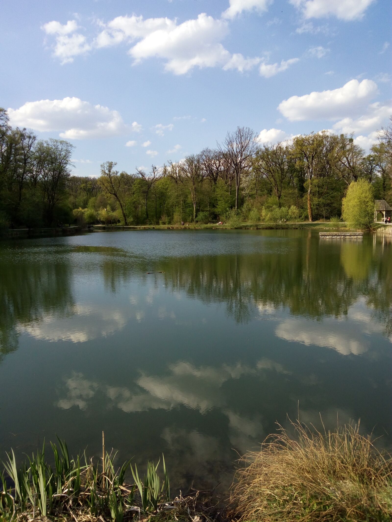 InFocus M808 sample photo. Nature, beauty, summer photography