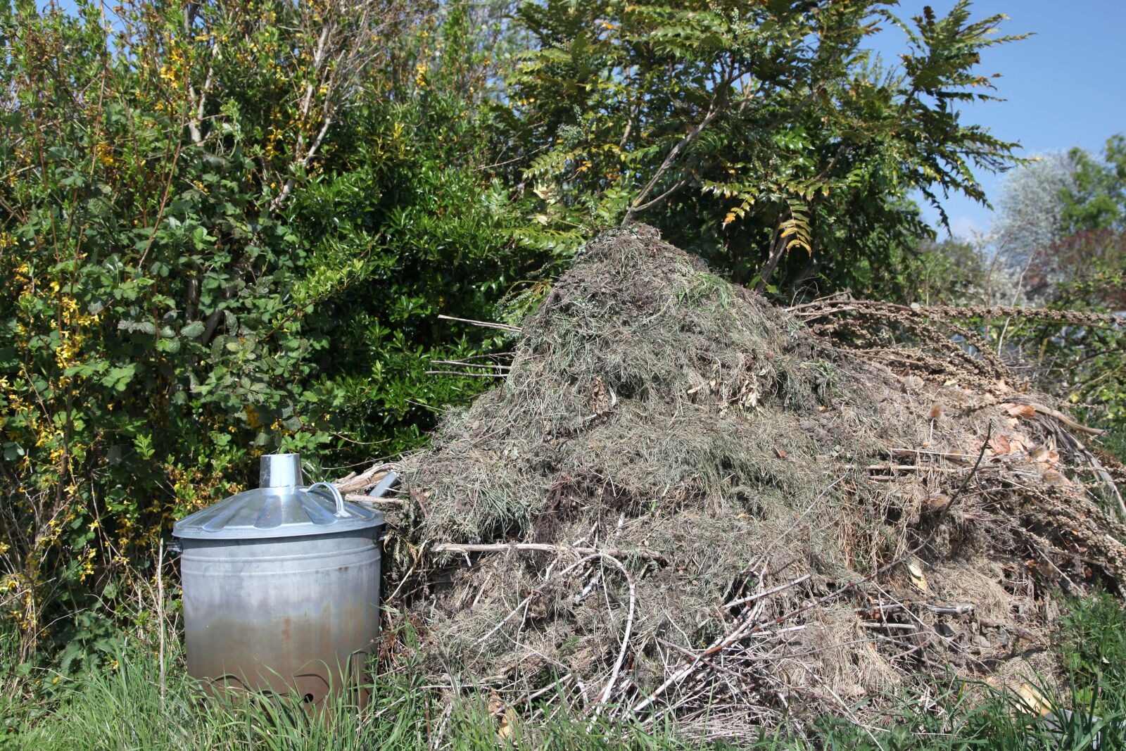 Canon EOS 5D Mark II sample photo. Lockdown, home, compost photography