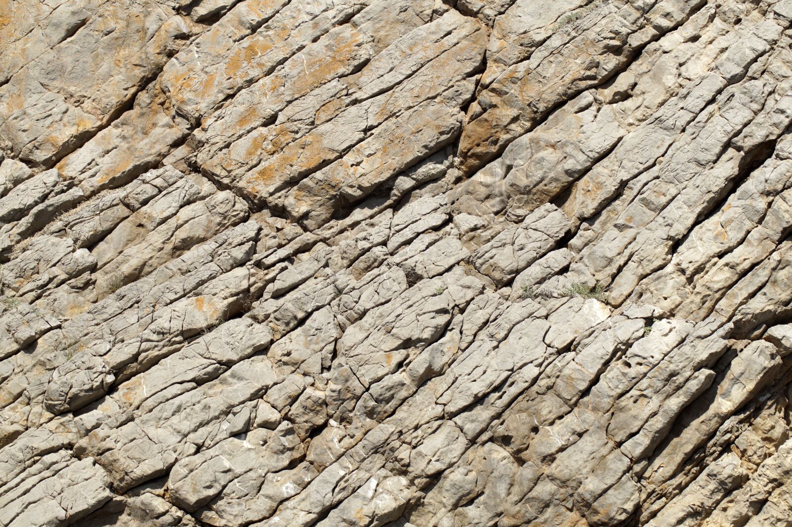 Sony SLT-A58 sample photo. Background, rau, texture photography