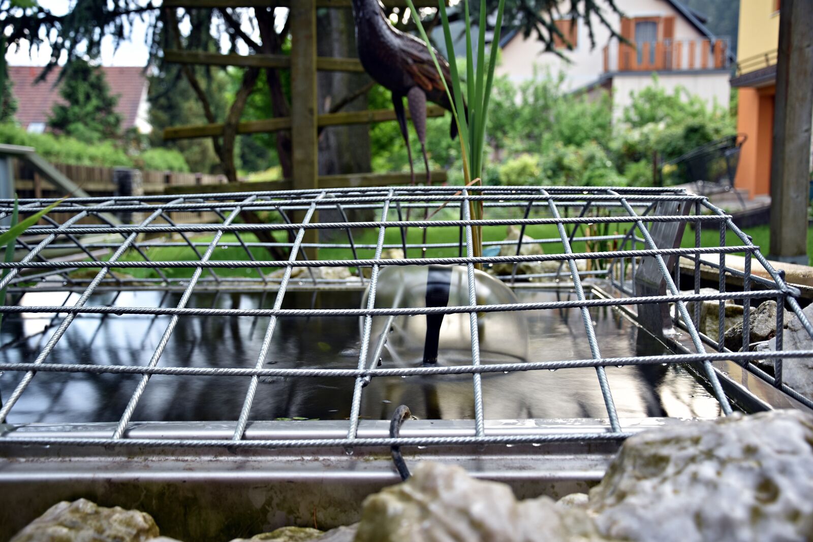 Nikon D3400 sample photo. Garden, water, pond photography
