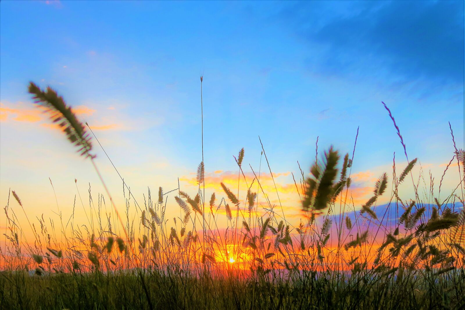 Canon PowerShot G7 X sample photo. Sunset, in the evening photography