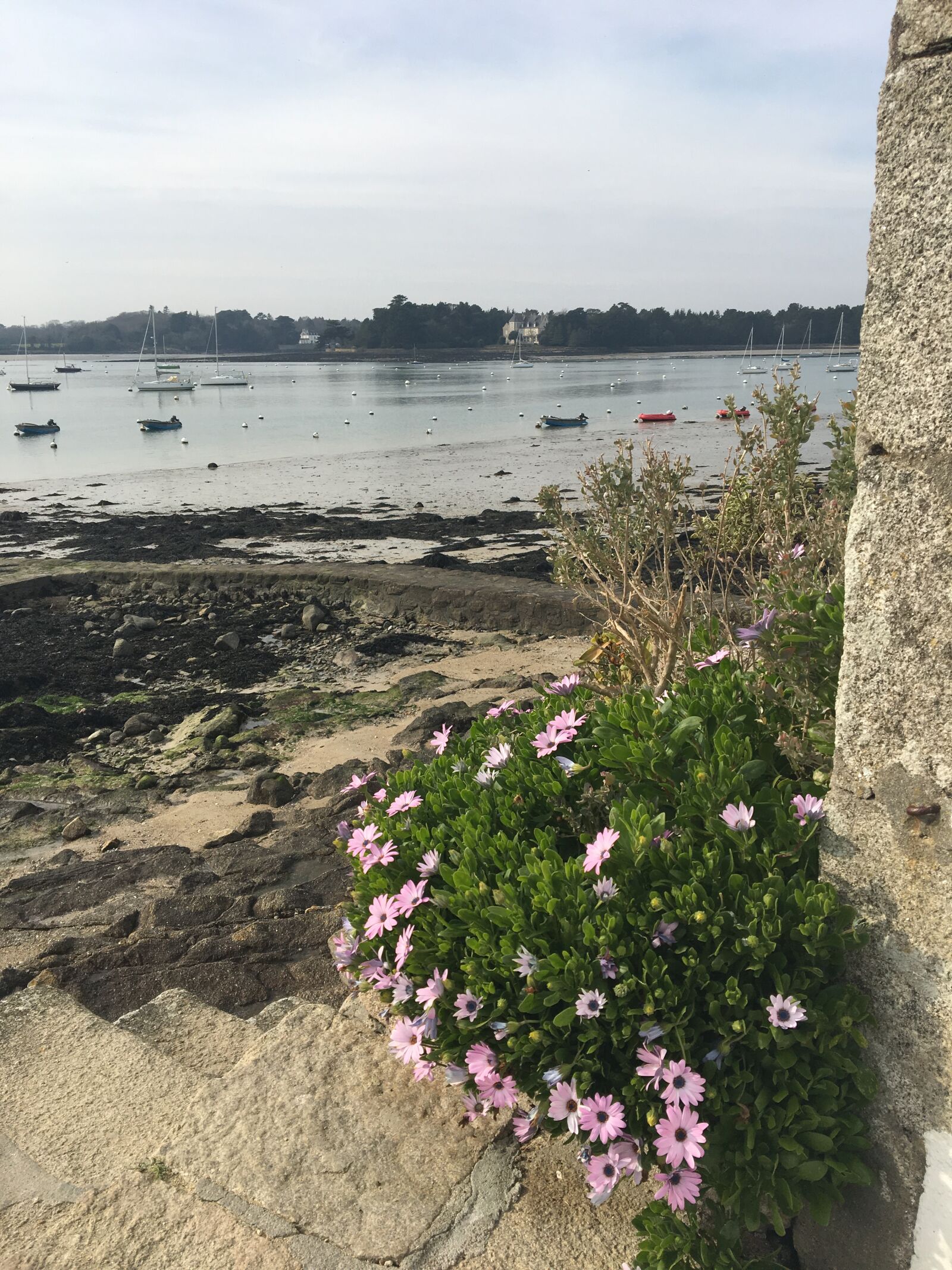 Apple iPhone 6s sample photo. Ile-tudy, finistere, bretagne photography