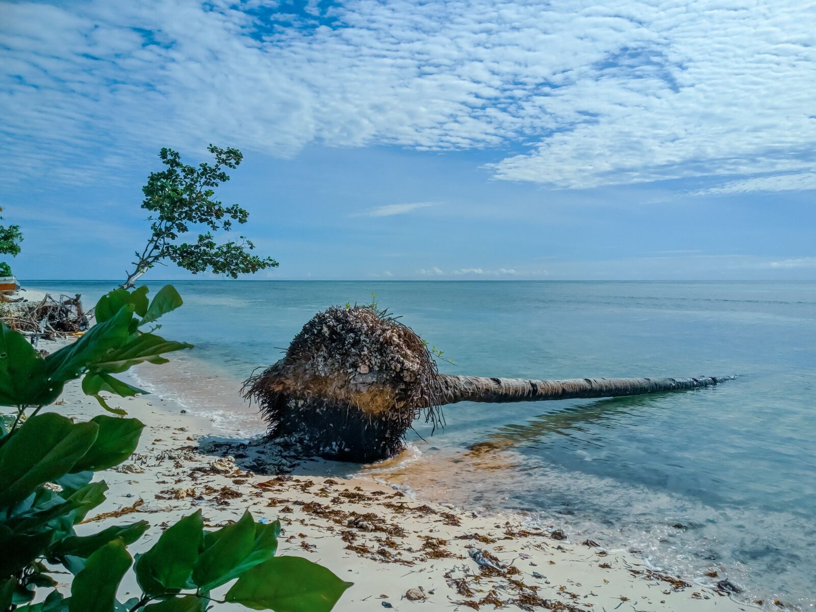 Xiaomi Mi A1 sample photo. The sea, beach, rod photography