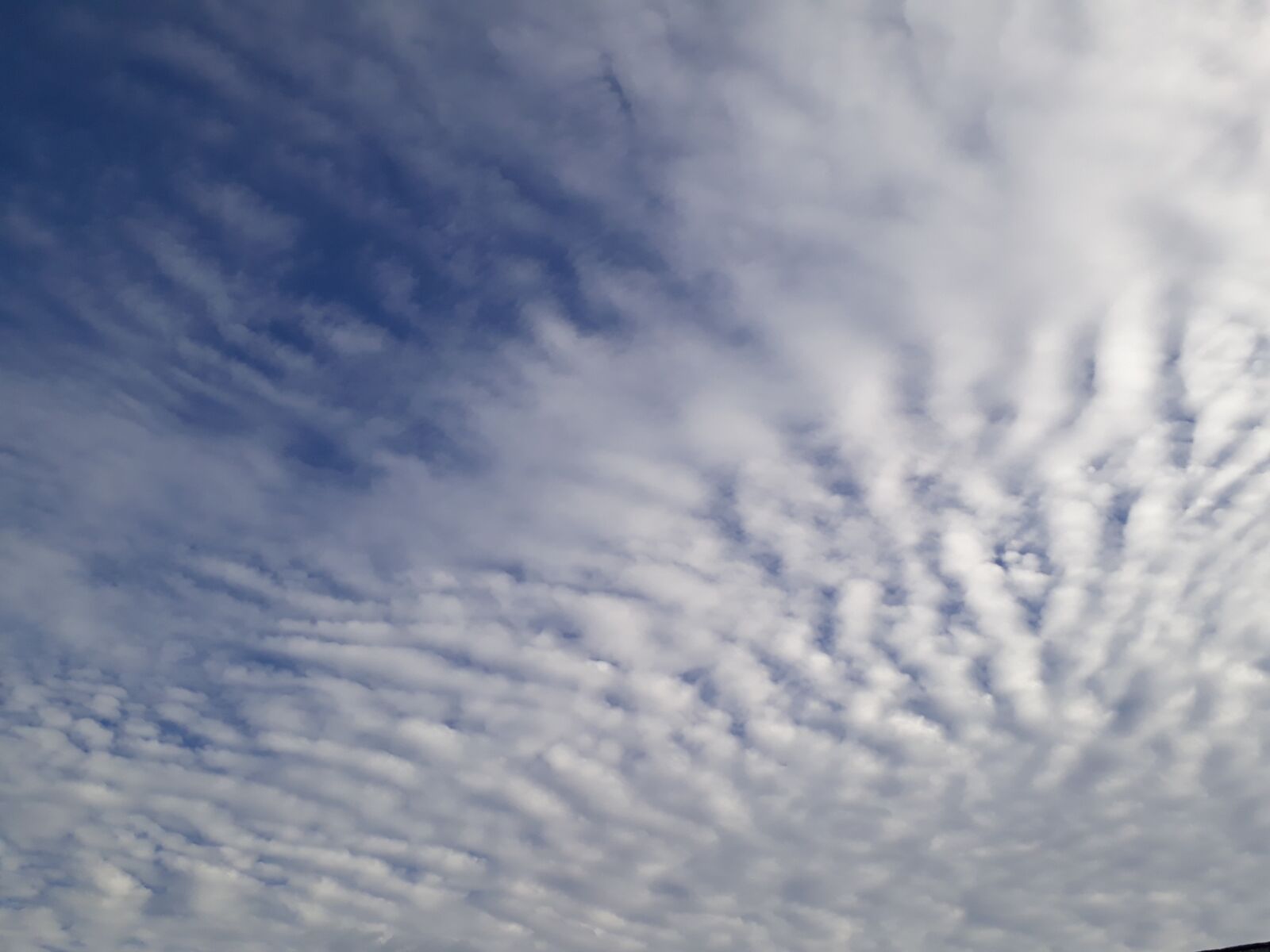 Samsung Galaxy J5 Prime sample photo. Sky, blue white, clouds photography